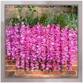 12x WISTERIA GLICYNIA PREMIUM XXL sztuczna gęsta girlanda kwiatowa ślub