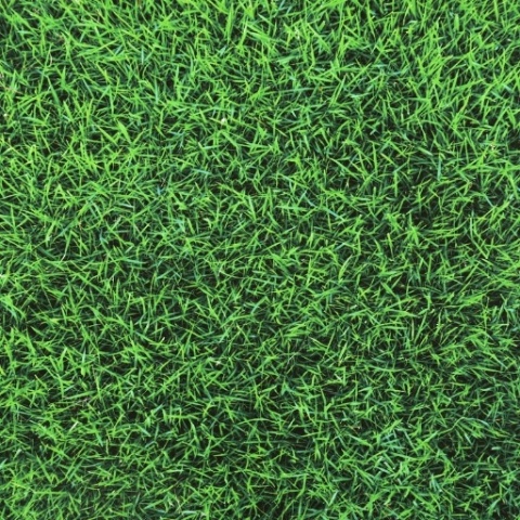 Mata łazienkowa szybkoschnąca chłonna dywanik 45x75 cm zielona